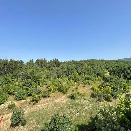 - Prestige Sea Viev * סאני ביץ'